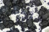 Blue Cubic/Octahedral Fluorite Crystals - Inner Mongolia #323416-1